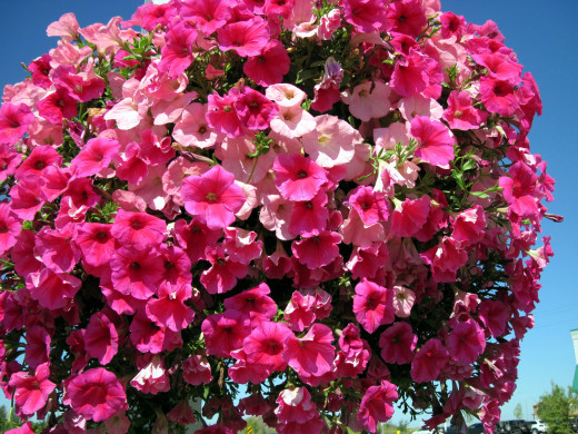 1084975 (a): :2560x1920